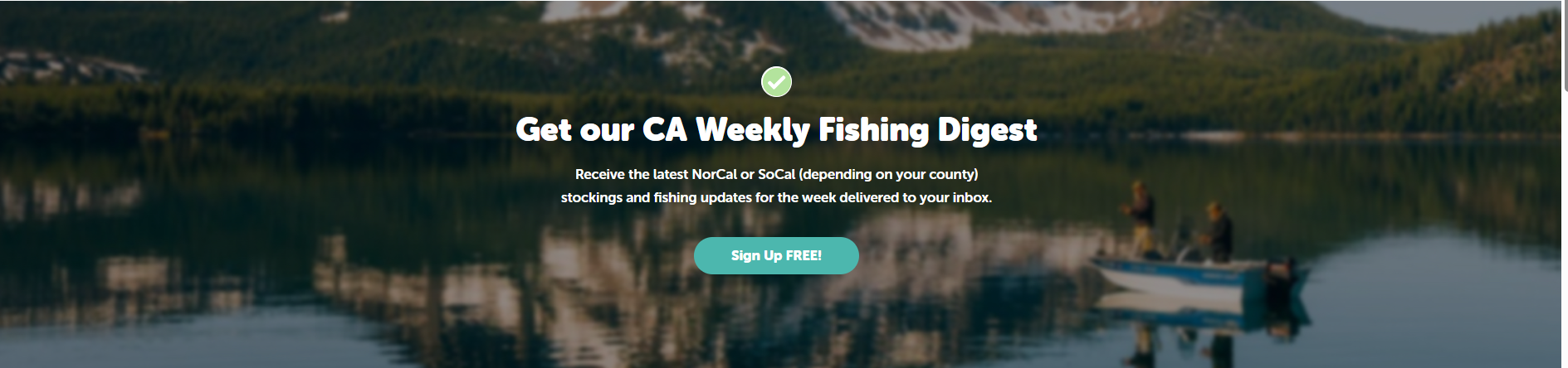 Newsletter — hero — Newsletter hero uses a checkmark that implies the user is already subscribed.