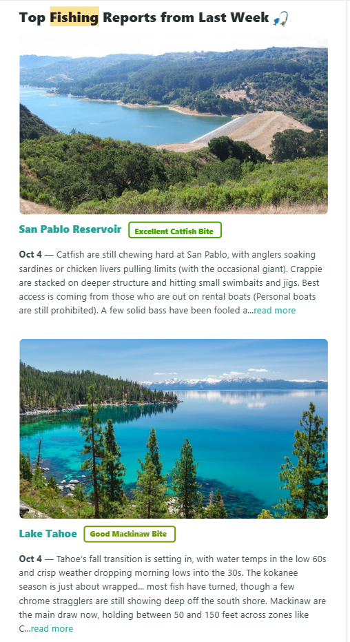 Newsletter — content — Newsletter is one dense block — no dividers, summaries, or mid-content CTA.